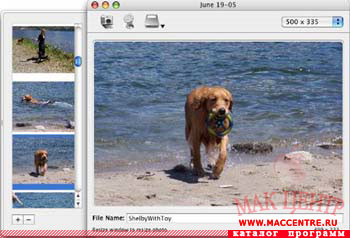 Drag-N-Scale 1.0  Mac OS X - , 