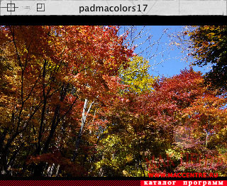 padmacolors17 1.0  Mac OS X - , 