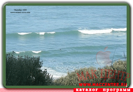 UK Surfcam Widget 1.1 WDG  Mac OS X - , 